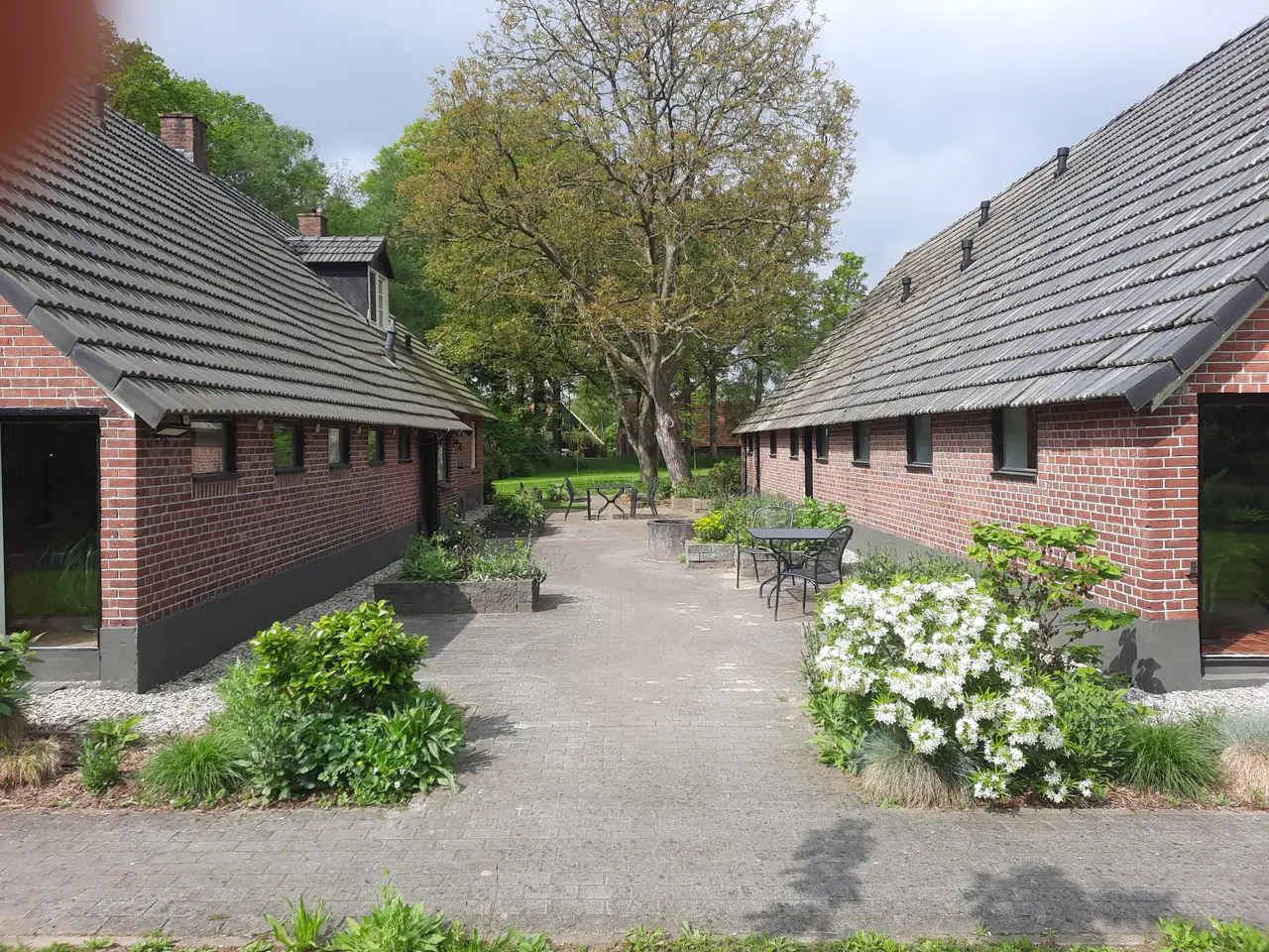 Binnenplaats met bloemen