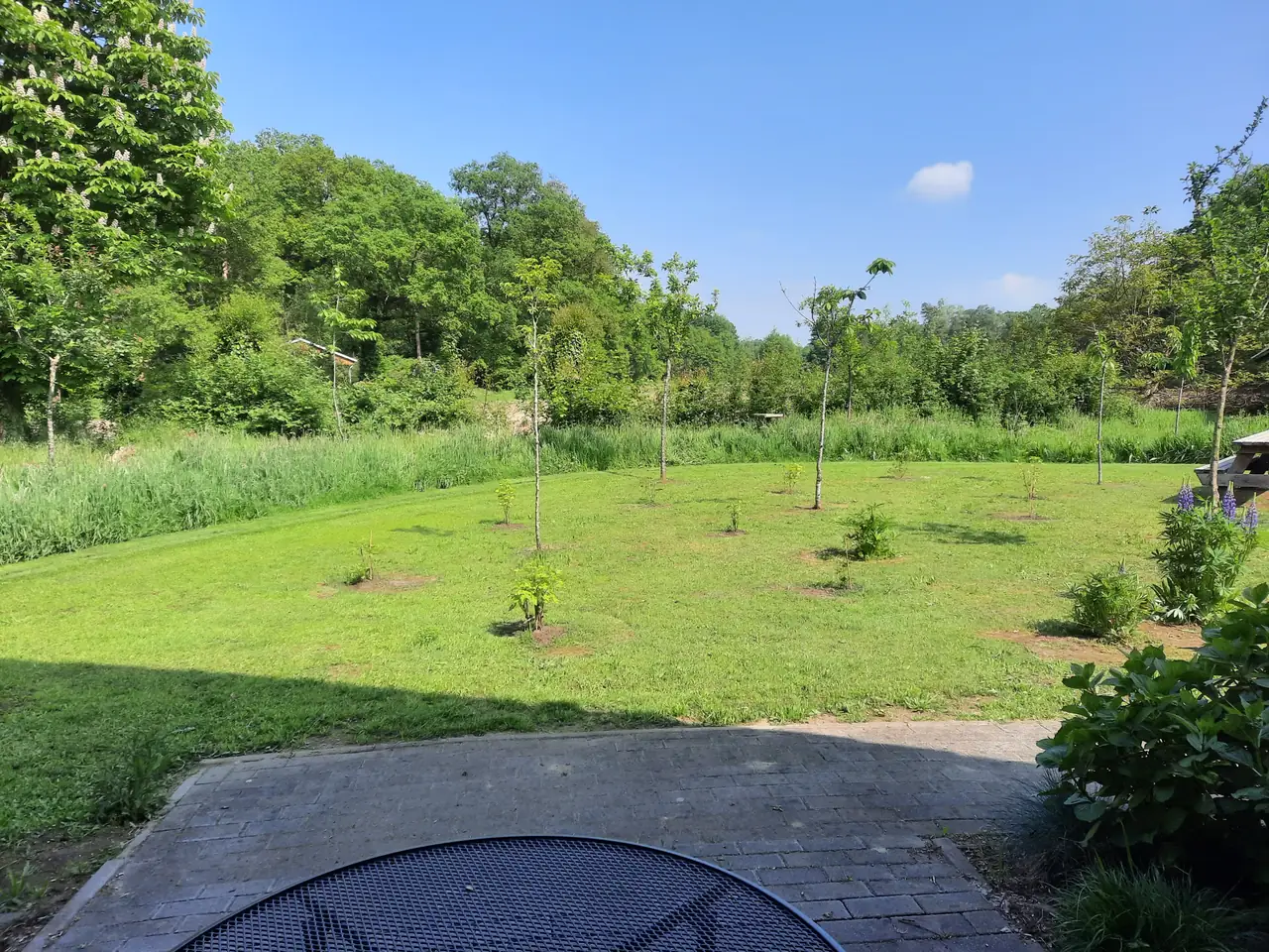 Uitzicht over de tuin
