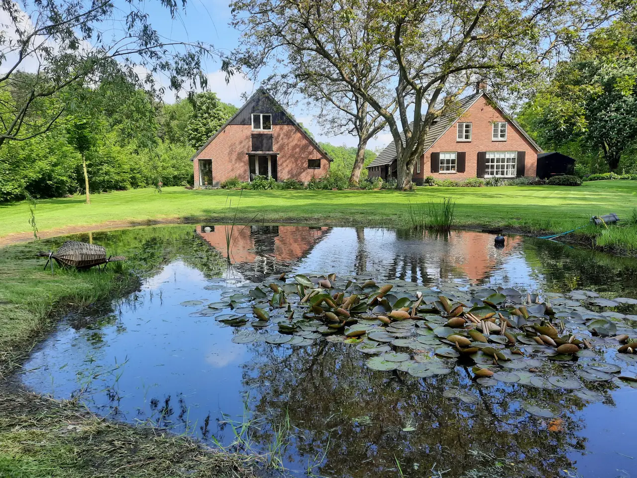 Vijver met waterlelies