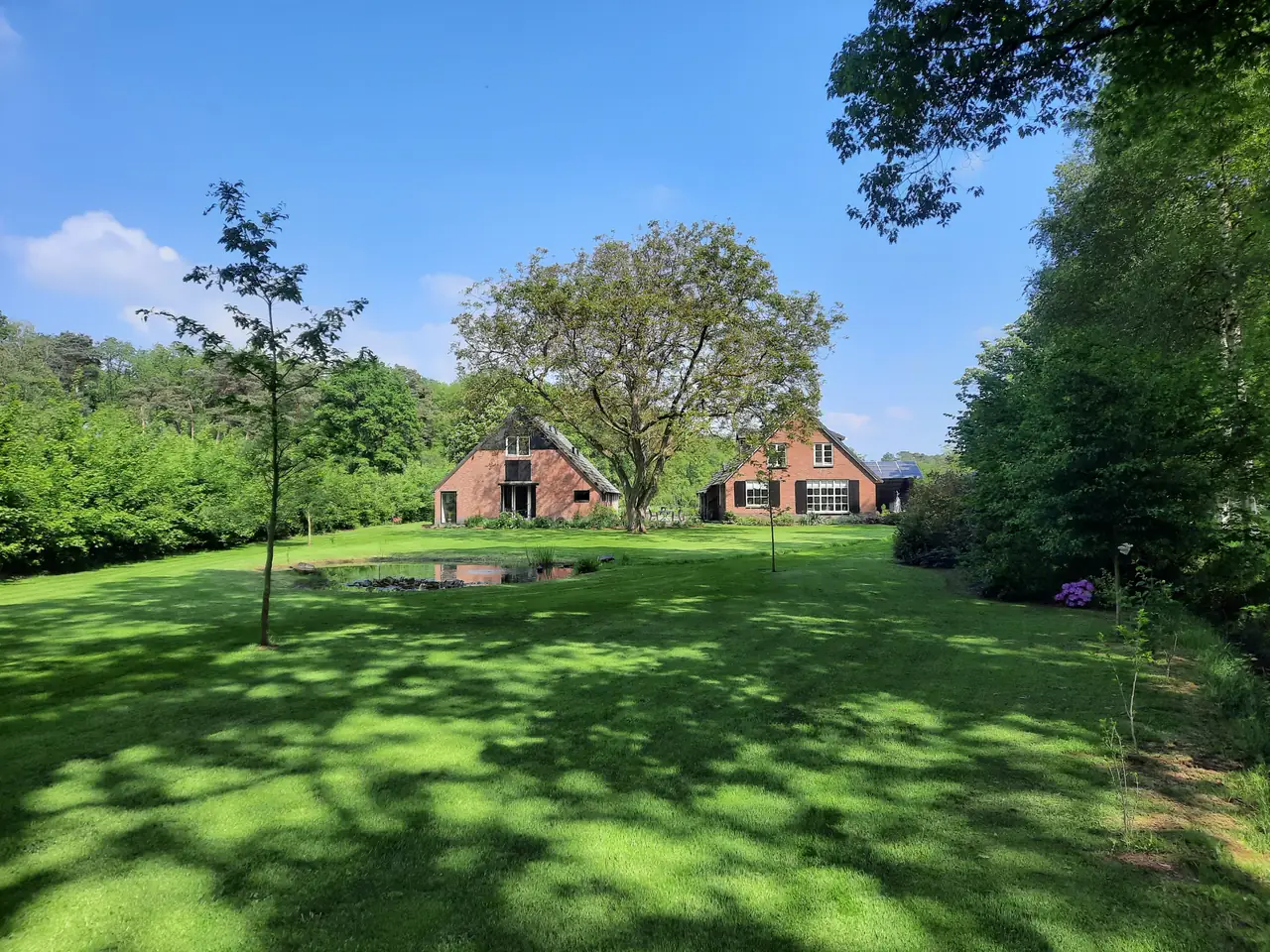 Panorama met vijver