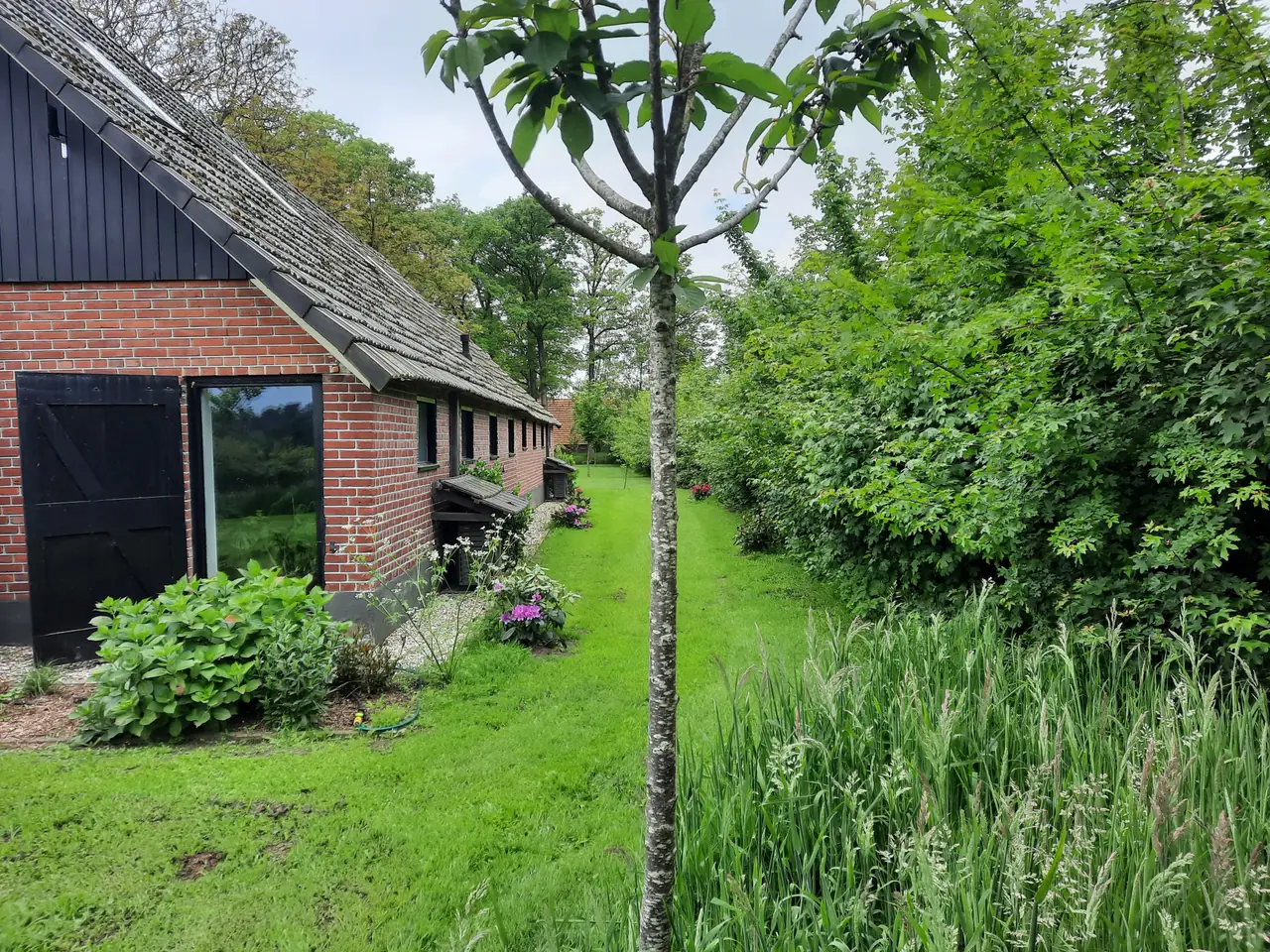 Zijkant tuin
